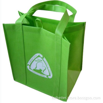 Popular Non-Woven Gift Bag (002)